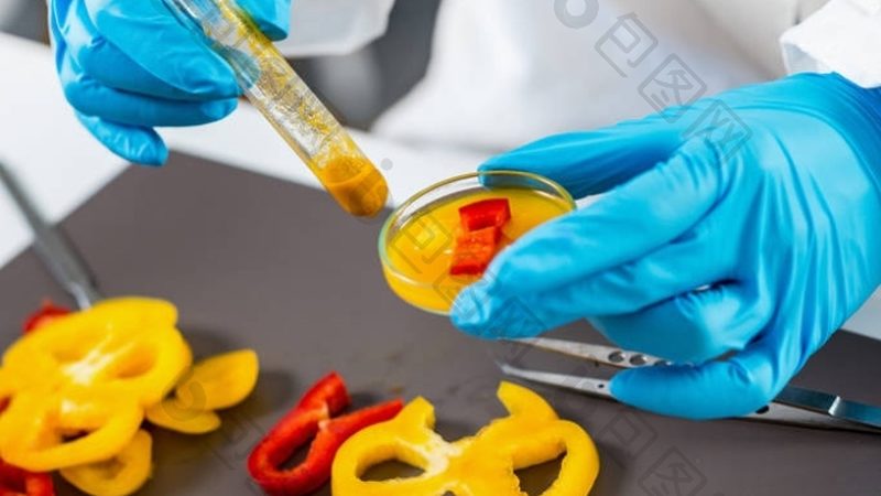 食品OEM代工打样，揭秘那些你不可不知的标准规范